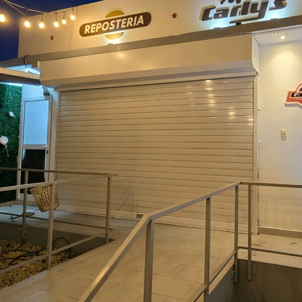 Puerta Seccional para Garaje